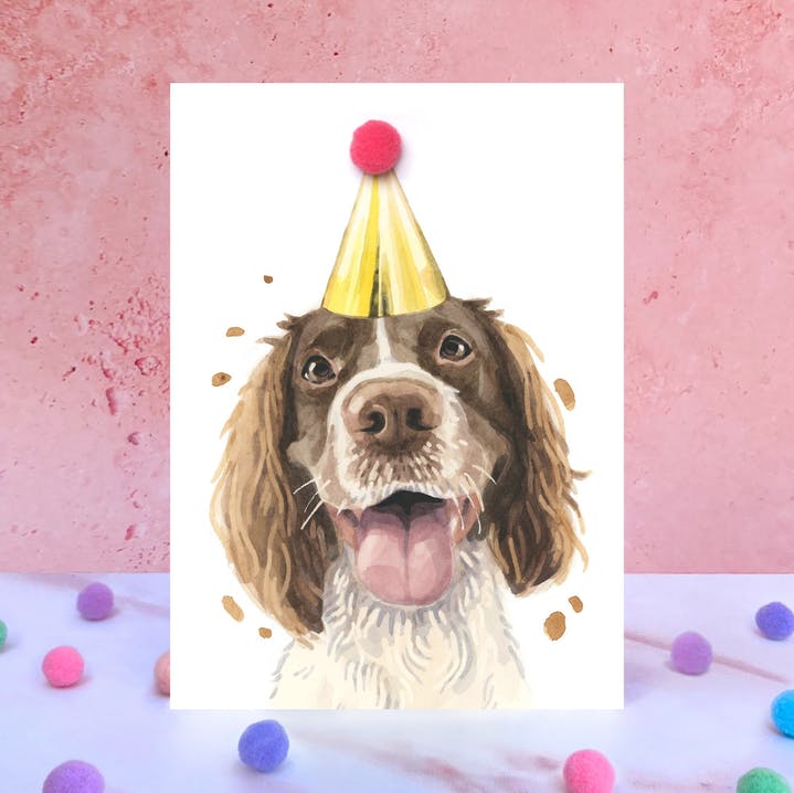 Karte Springer Spaniel, Partyhut m. Pom Pom