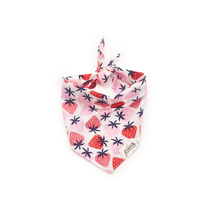 Bandana Erdbeere Größe L
