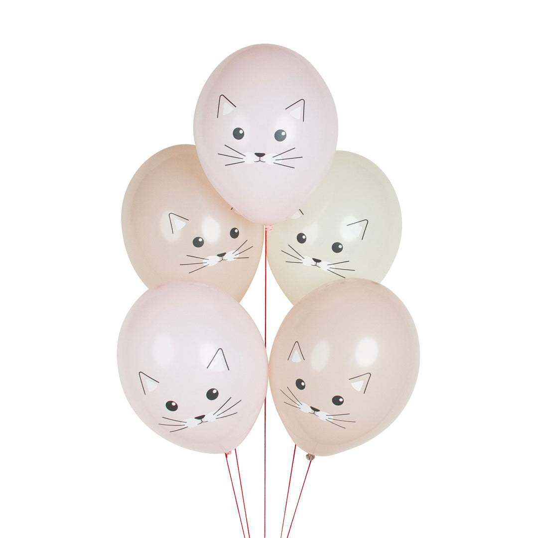 Katzen Ballons