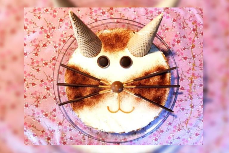 Katzenkuchen