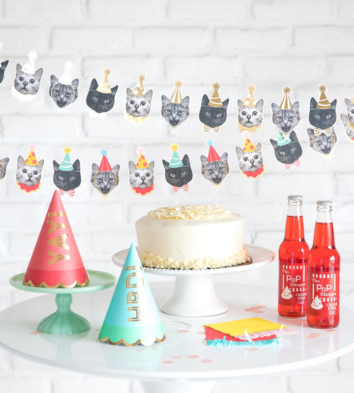 Partycat Girlande