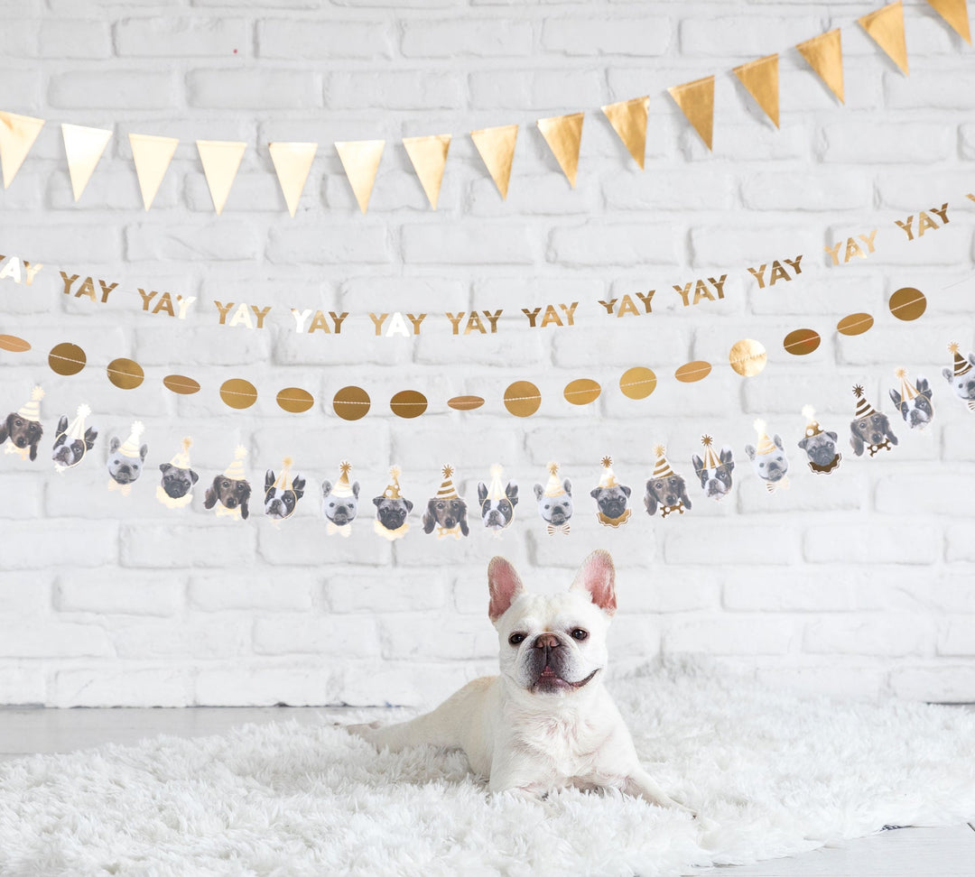 Partydog Girlande