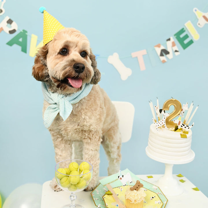 Pawty Time Girlande