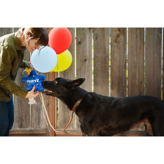 Partyballon Stern