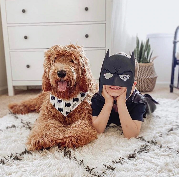 Bandana Batman Größe M
