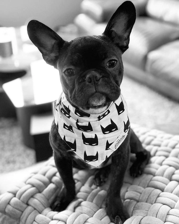 Bandana Batman Größe M