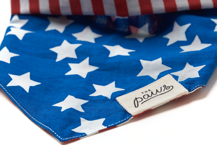 Bandana Stripes and Stars Größe S