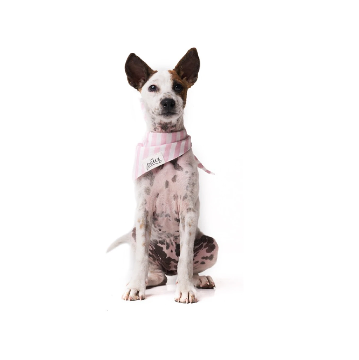 Bandana rosa gestreift Größe M