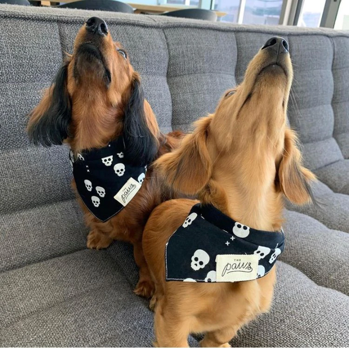 Bandana Pirat Größe L
