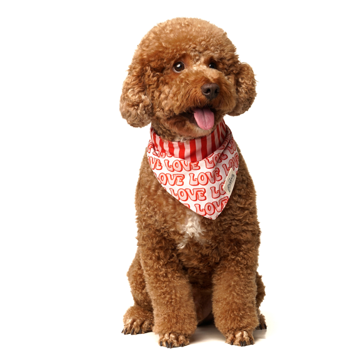 Bandana Love Größe S