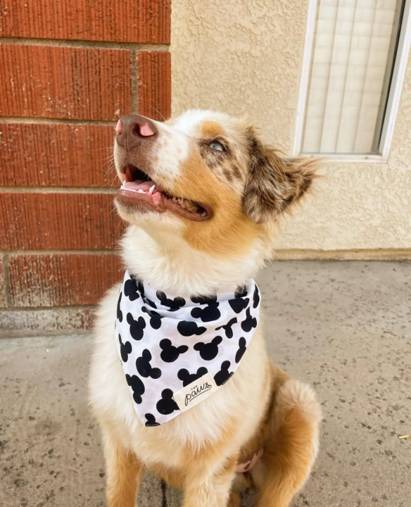 Bandana Mickey Größe M