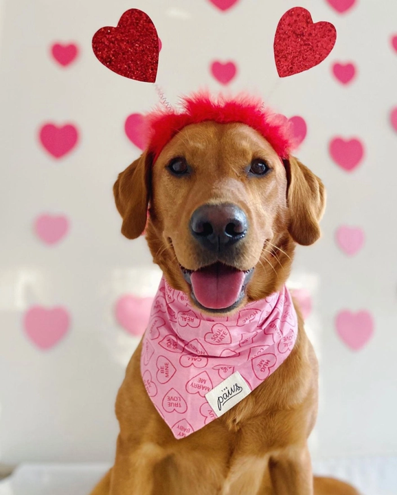 Bandana Valentine S