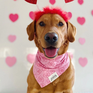 Bandanas